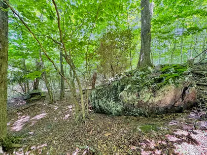 RARE 7.33-ACRE FOSCOE RETREAT (42)