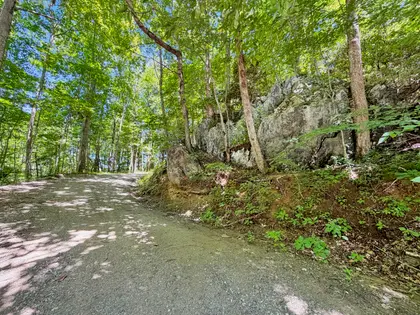 RARE 7.33-ACRE FOSCOE RETREAT (41)
