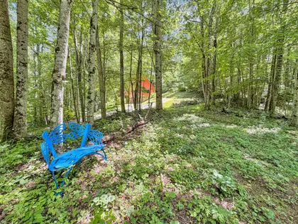 RARE 7.33-ACRE FOSCOE RETREAT (11)
