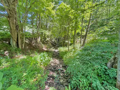 RARE 7.33-ACRE FOSCOE RETREAT (44)