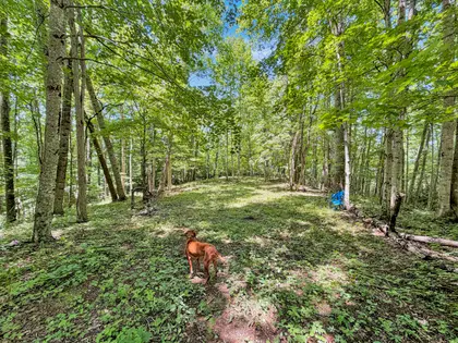 RARE 7.33-ACRE FOSCOE RETREAT (43)