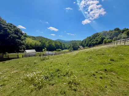 Honeycreek Highlands | 22-Acre Farm Estate Near Boone, NC (41)