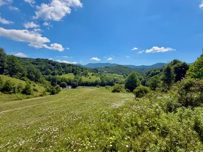 Honeycreek Highlands | 22-Acre Farm Estate Near Boone, NC (3)