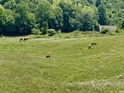 Honeycreek Highlands | 22-Acre Farm Estate Near Boone, NC (45)