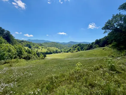 Honeycreek Highlands | 22-Acre Farm Estate Near Boone, NC (47)