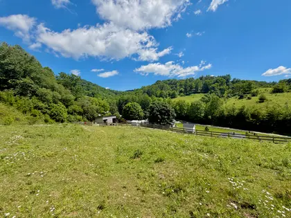 Honeycreek Highlands | 22-Acre Farm Estate Near Boone, NC (44)