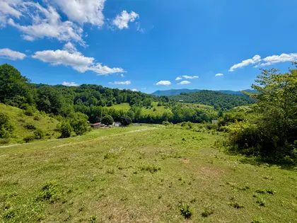 Honeycreek Highlands | 22-Acre Farm Estate Near Boone, NC (42)