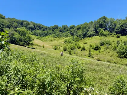 Honeycreek Highlands | 22-Acre Farm Estate Near Boone, NC (46)