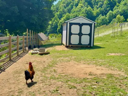 Honeycreek Highlands | 22-Acre Farm Estate Near Boone, NC (40)
