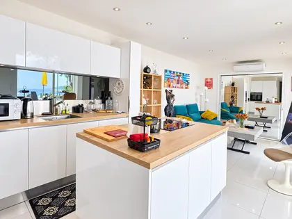 Roquebrune Cap Martin T3 avec Terrasse de 100m² (5)