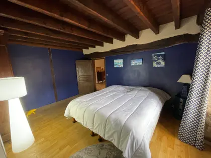 Belle maison en pierre de 320 m2 habitable sur 1 hectare de terrain  (3)