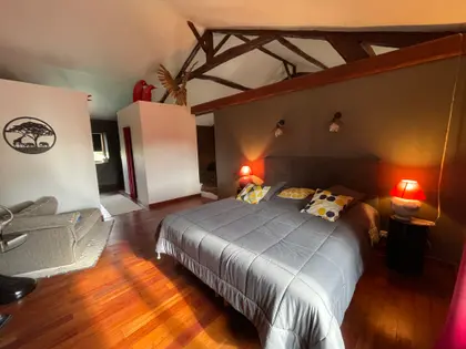 Belle maison en pierre de 320 m2 habitable sur 1 hectare de terrain  (1)