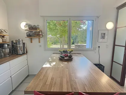 Contemporaine lumineuse avec vie de plain-pied (3)