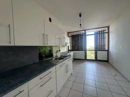 Magnifique appartement de T4  9 ème   étage à Mulhouse. (9)