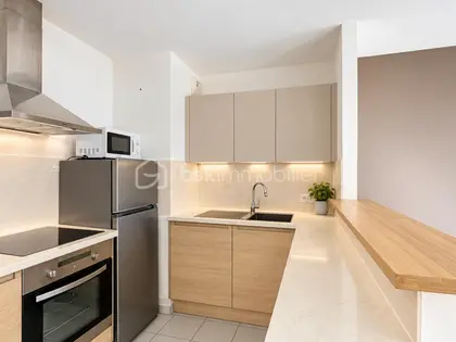TRES BEAU 2 PIECES DERNIER ETAGE  (4)
