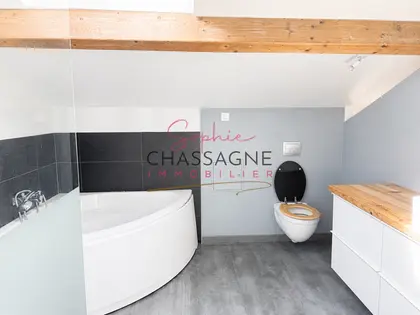 À 20 minutes de Saint-Émilion, maison en pierre de 205 m², implantée sur un terrain clos de 5965 m² (15)