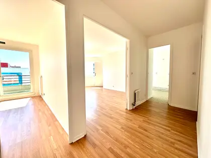 Bel appartement 3 pièces  (3)
