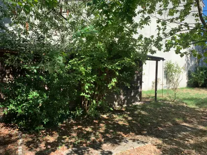 Terrain à vendre avec maisonnette et cabanon de jardin  (5)