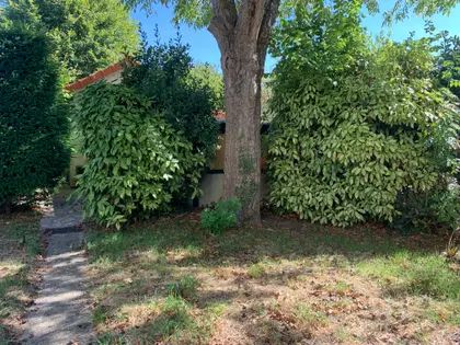 Terrain à vendre avec maisonnette et cabanon de jardin  (13)