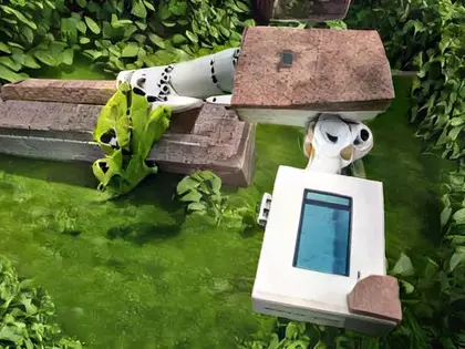 Maison de Campagne avec dépendances, piscine et parc (1)