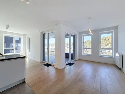 Appartement Rives Ardentes 2 chambres en location (6)