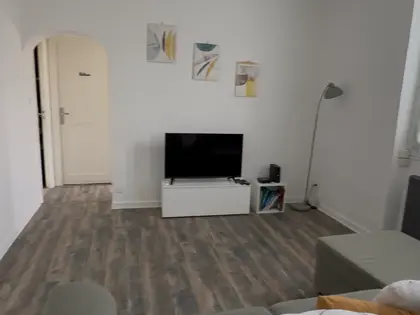 Charmant appartement  (9)
