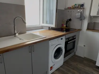 Charmant appartement  (8)