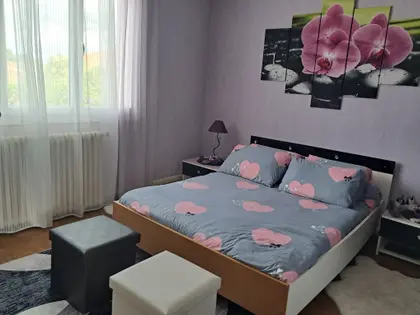 Maison familiale T5 (12)