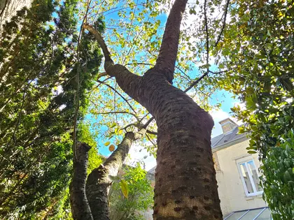 MAISON PLACE DU FORUM AVEC EXTERIEUR (20)