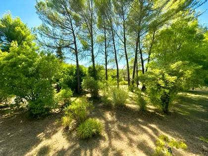 Maison traditionnelle de type 6 de 135 m² sur 5370 m² de terrain arboré avec garage et cave à TRETS (6)