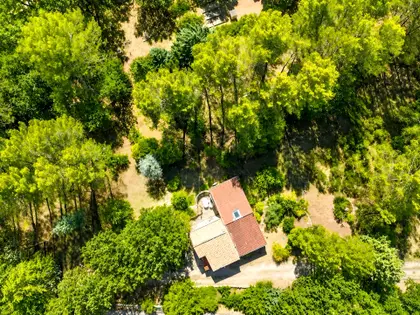 Maison traditionnelle de type 6 de 135 m² sur 5370 m² de terrain arboré avec garage et cave à TRETS (4)
