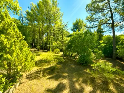 Maison traditionnelle de type 6 de 135 m² sur 5370 m² de terrain arboré avec garage et cave à TRETS (7)