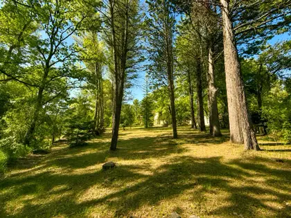 Maison traditionnelle de type 6 de 135 m² sur 5370 m² de terrain arboré avec garage et cave à TRETS (2)