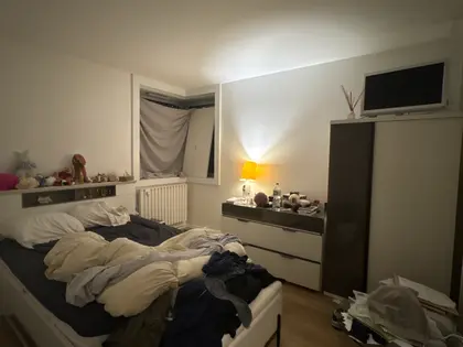 Charmant appartement dans le 19e  (6)