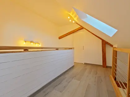 Charmant Duplex en plein Cœur de Pontarlier  (17)