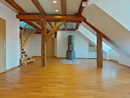 Charmant Duplex en plein Cœur de Pontarlier  (25)