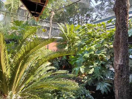 Villa de prestige de 4 chambres avec piscine couverte (19)