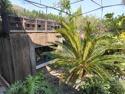 Villa de prestige de 4 chambres avec piscine couverte (16)