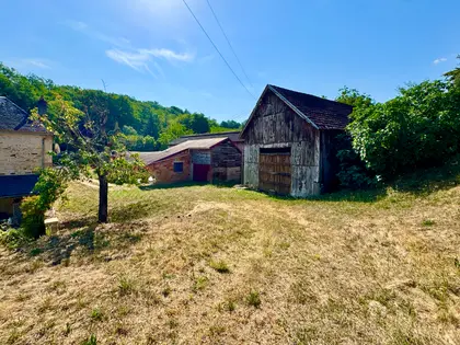 EXCLUSIVITE - A deux pas de la Dordogne, rare ensemble immobilier typique du Périgord. Une demeure de caractère avec plusieurs dependances, grange, sechoirs à tabac sur terrain de prés de 10000m2 stephane gounet imoconseil 0607282822 (10)