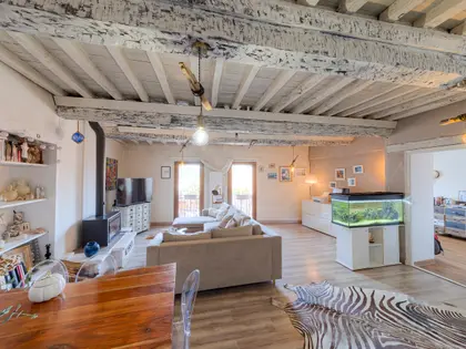 Mas de caractère avec piscine et gîte en activité, Montesquieu-des-Albères (1)