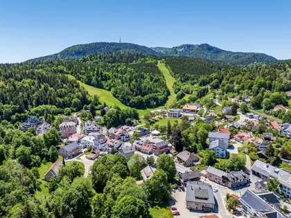 Chalet à rénover au calme au centre du village (28)
